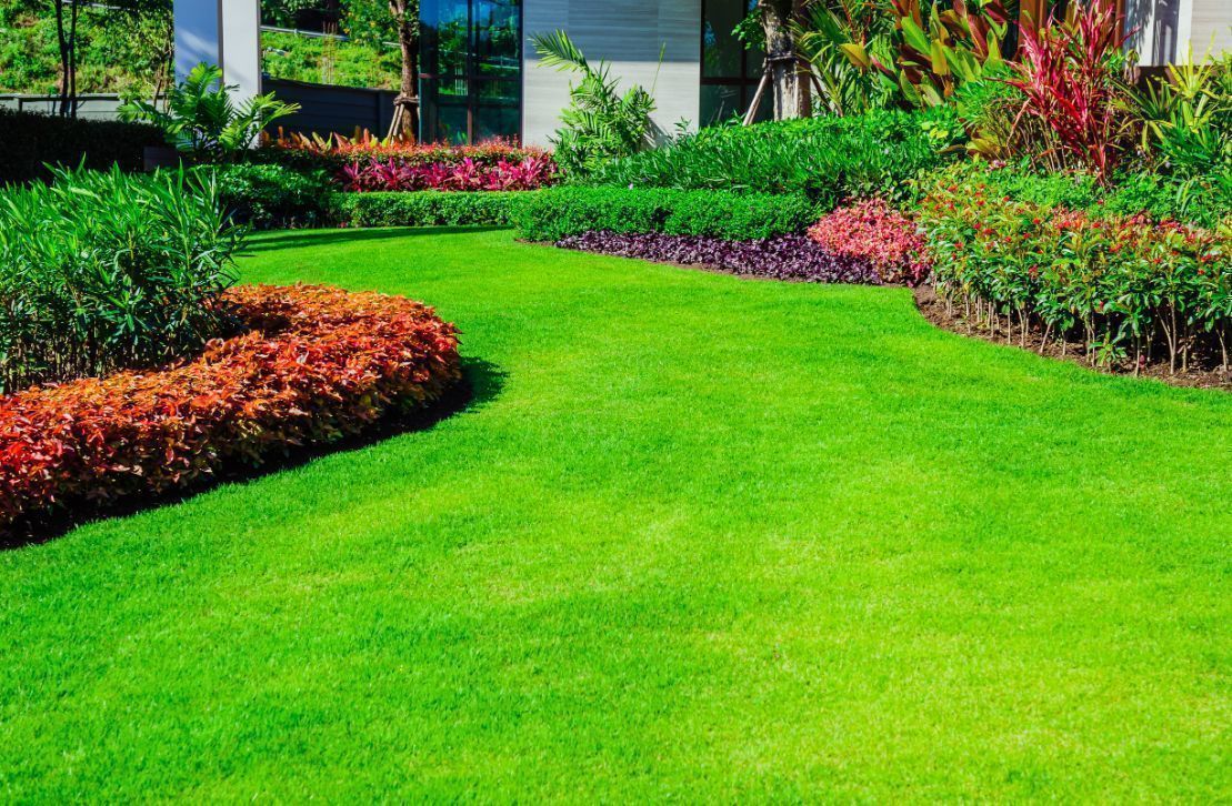 lawn1