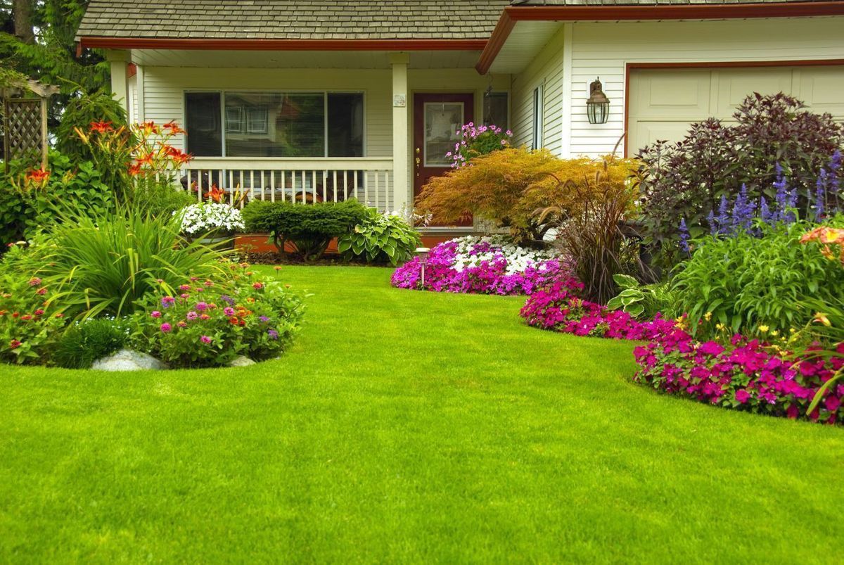 lawn2